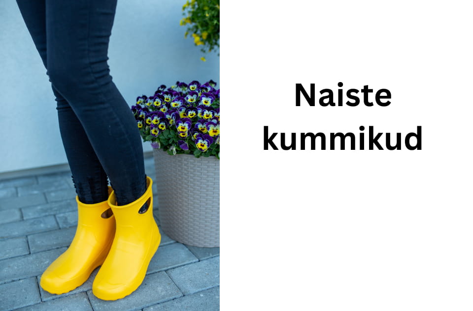 Stiilne kategooriad