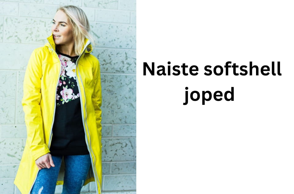 Stiilne kategooriad